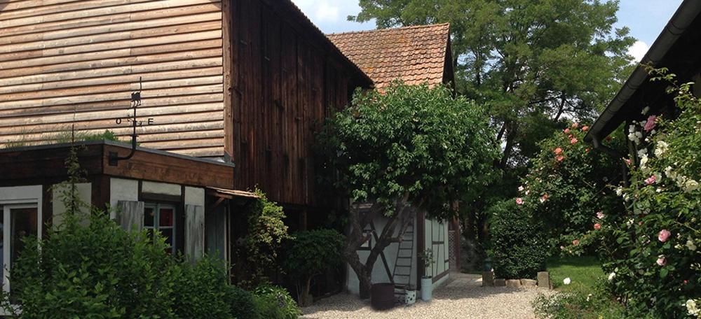 Le Sechoir Du Ried Apartamento Rossfeld Exterior foto