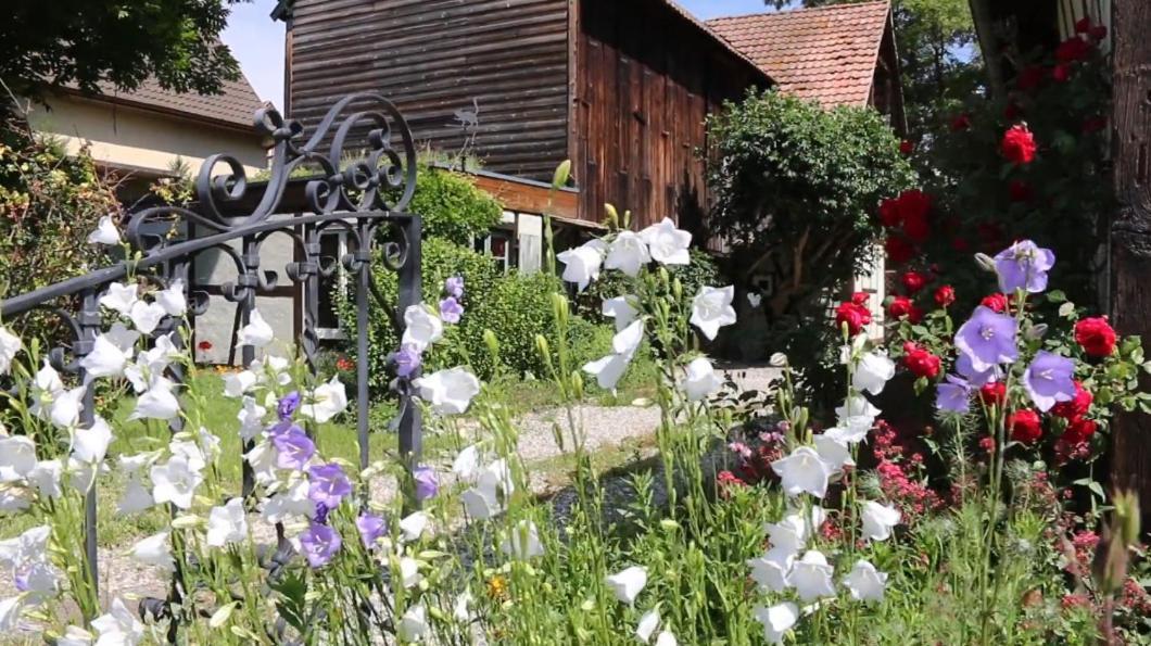 Le Sechoir Du Ried Apartamento Rossfeld Exterior foto